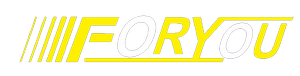 佛佑物流logo